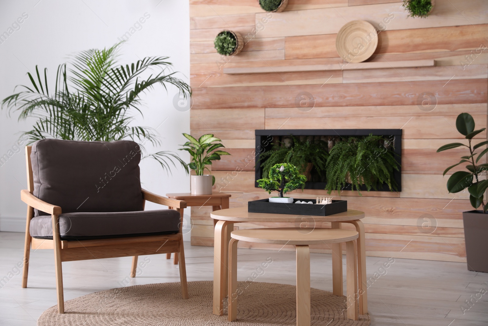 Photo of Stylish living room interior with armchair, green plants and miniature zen garden. Home design ideas