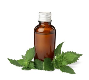 Glass bottle of nettle oil with leaves isolated on white