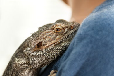 Young woman with bearded lizard at home, closeup. Exotic pet