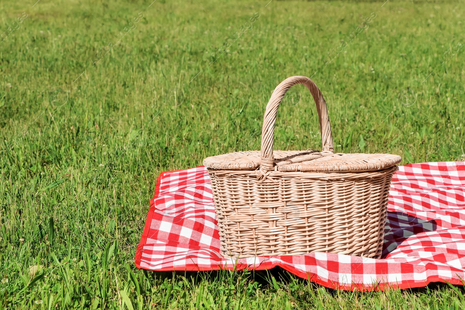 Photo of Picnic basket with checkered tablecloth on green grass outdoors, space for text