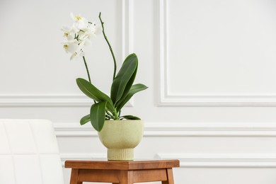 Photo of Blooming orchid flower in pot on wooden stand near white wall indoors, space for text