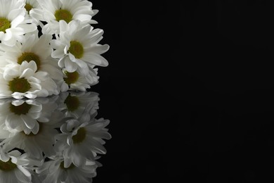 Photo of White chrysanthemum flowers on black mirror surface in darkness, space for text. Funeral symbol