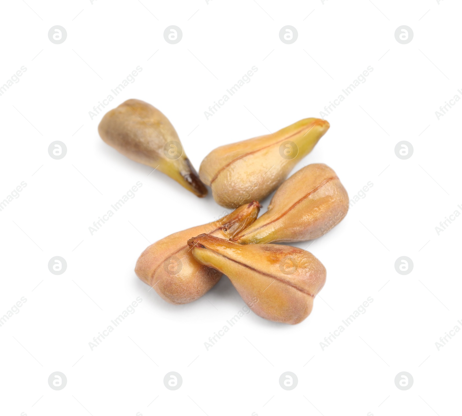 Photo of Seeds of grape berries on white background, top view. Natural essential oil ingredient