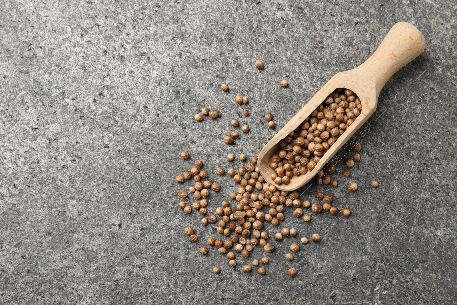 Photo of Scoop with dried coriander seeds on gray textured table, top view. Space for text