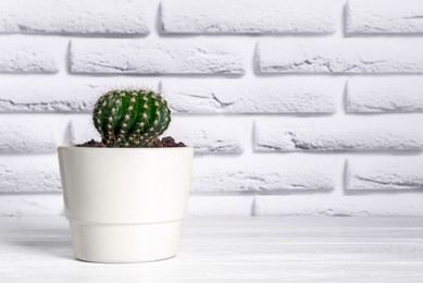 Photo of Beautiful green cactus on white wooden table. Space for text