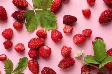 Many fresh wild strawberries and leaves on pink background, flat lay