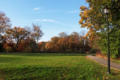 Photo of Picturesque view of park with beautiful trees and green grass on sunny day. Autumn season