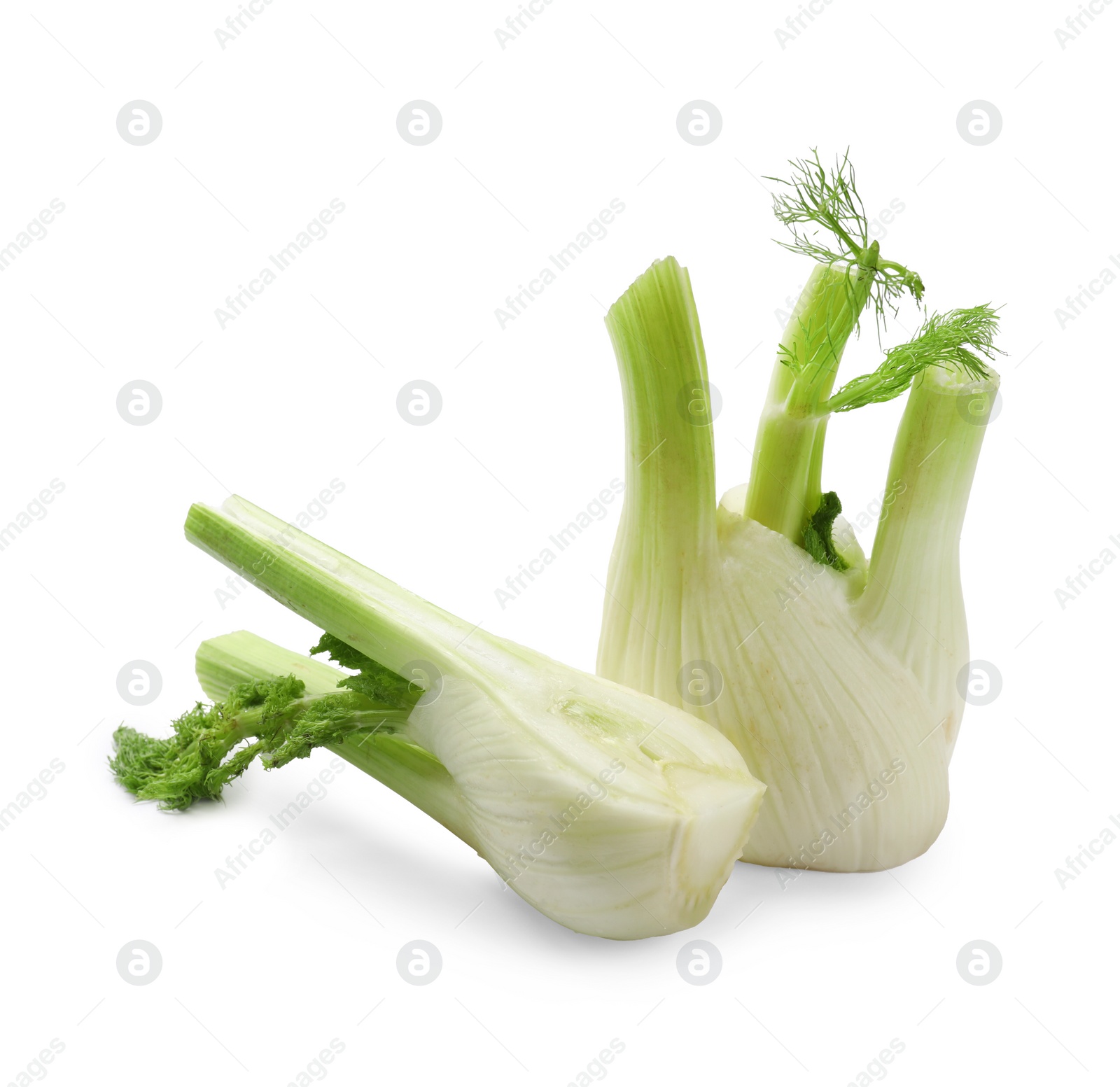 Photo of Whole and cut fennel bulbs isolated on white