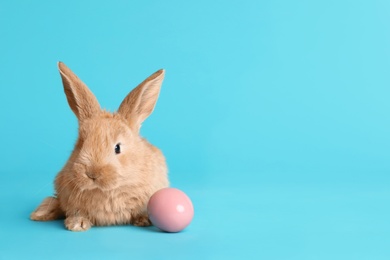 Adorable furry Easter bunny and dyed egg on color background, space for text