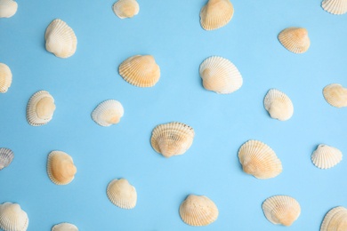 Different beautiful sea shells on light blue background, flat lay