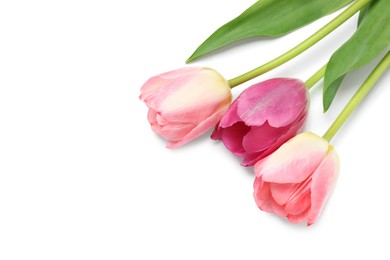 Photo of Beautiful pink tulip flowers isolated on white, top view