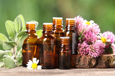 Photo of Bottles with essential oils, herb and flowers on wooden table against blurred green background, closeup