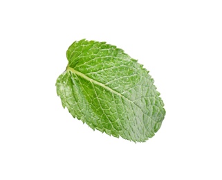 Photo of Fresh green mint leaf on white background