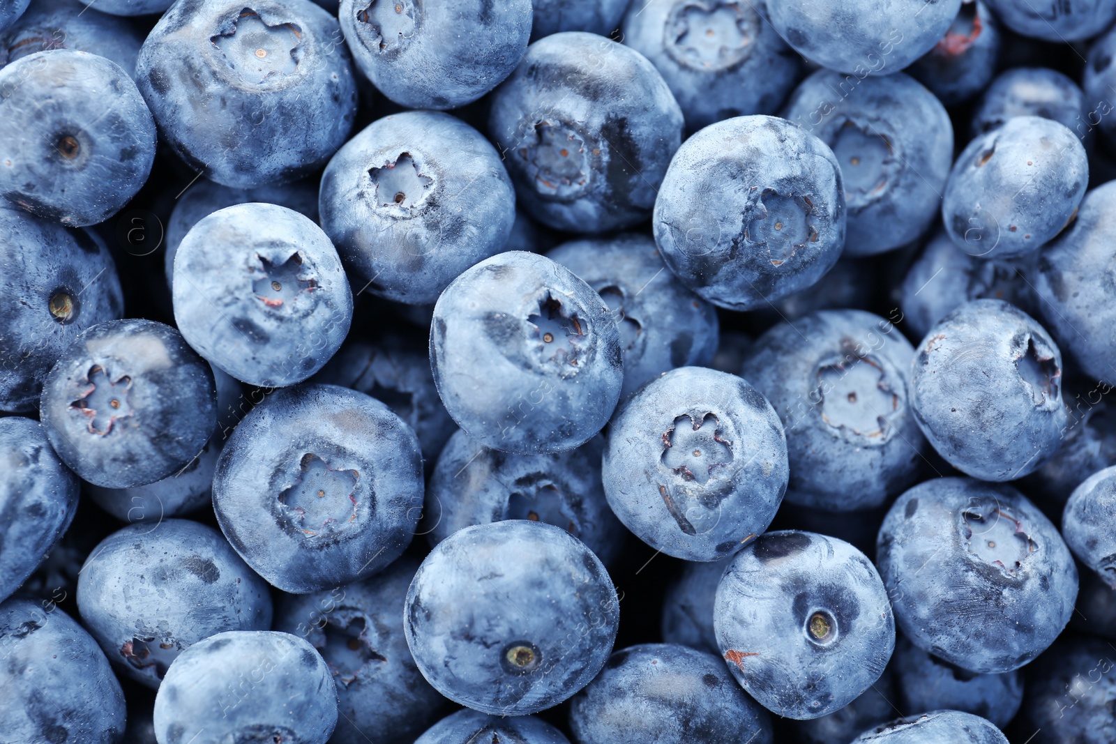 Photo of Tasty blueberry as background, close up view