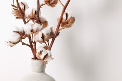 Cotton branches with fluffy flowers in vase on white background, closeup. Space for text