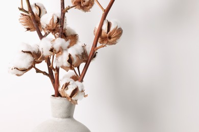 Photo of Cotton branches with fluffy flowers in vase on white background, closeup. Space for text