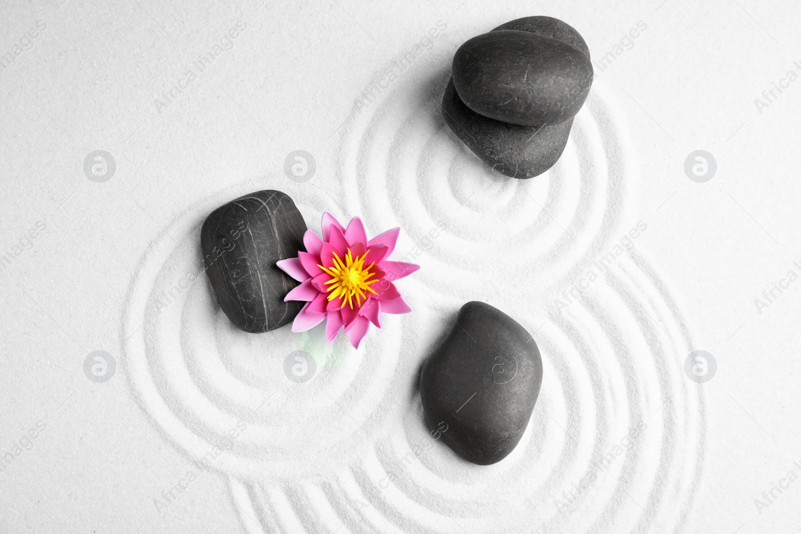 Photo of Zen garden. Beautiful lotus flower and stones on white sand, flat lay