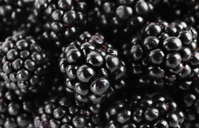 Photo of Tasty ripe blackberries as background, top view
