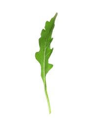 Photo of Leaf of fresh arugula isolated on white