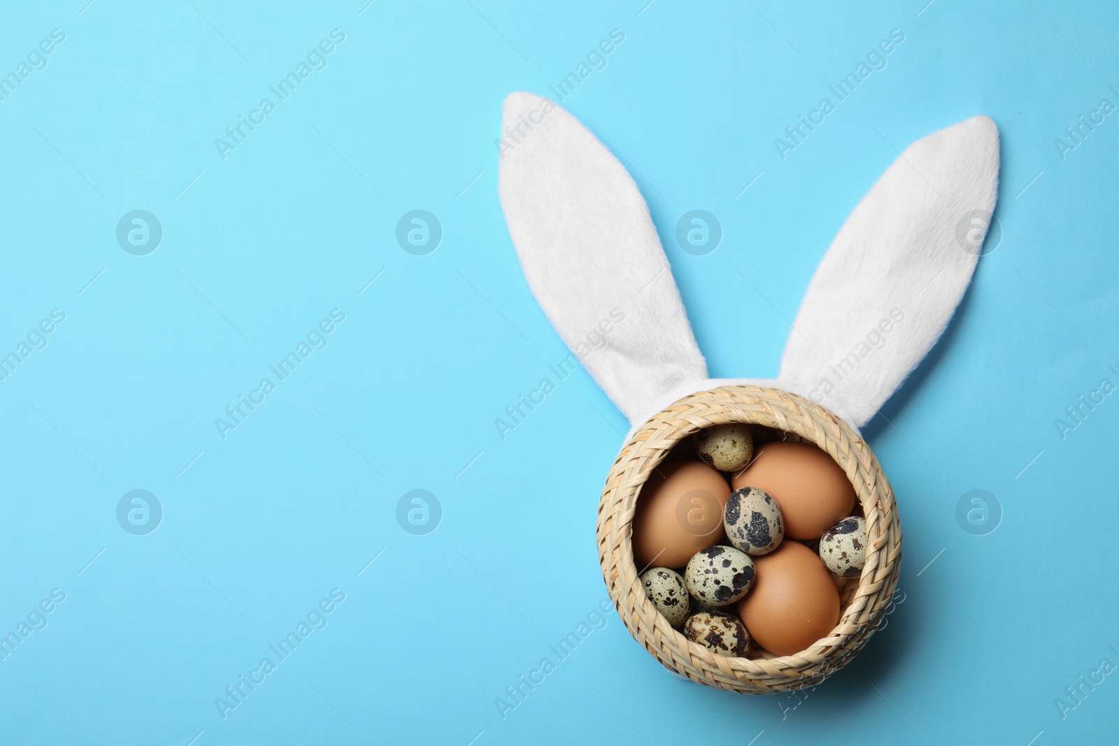 Photo of Easter bunny ears and basket with eggs on color background, top view. Space for text