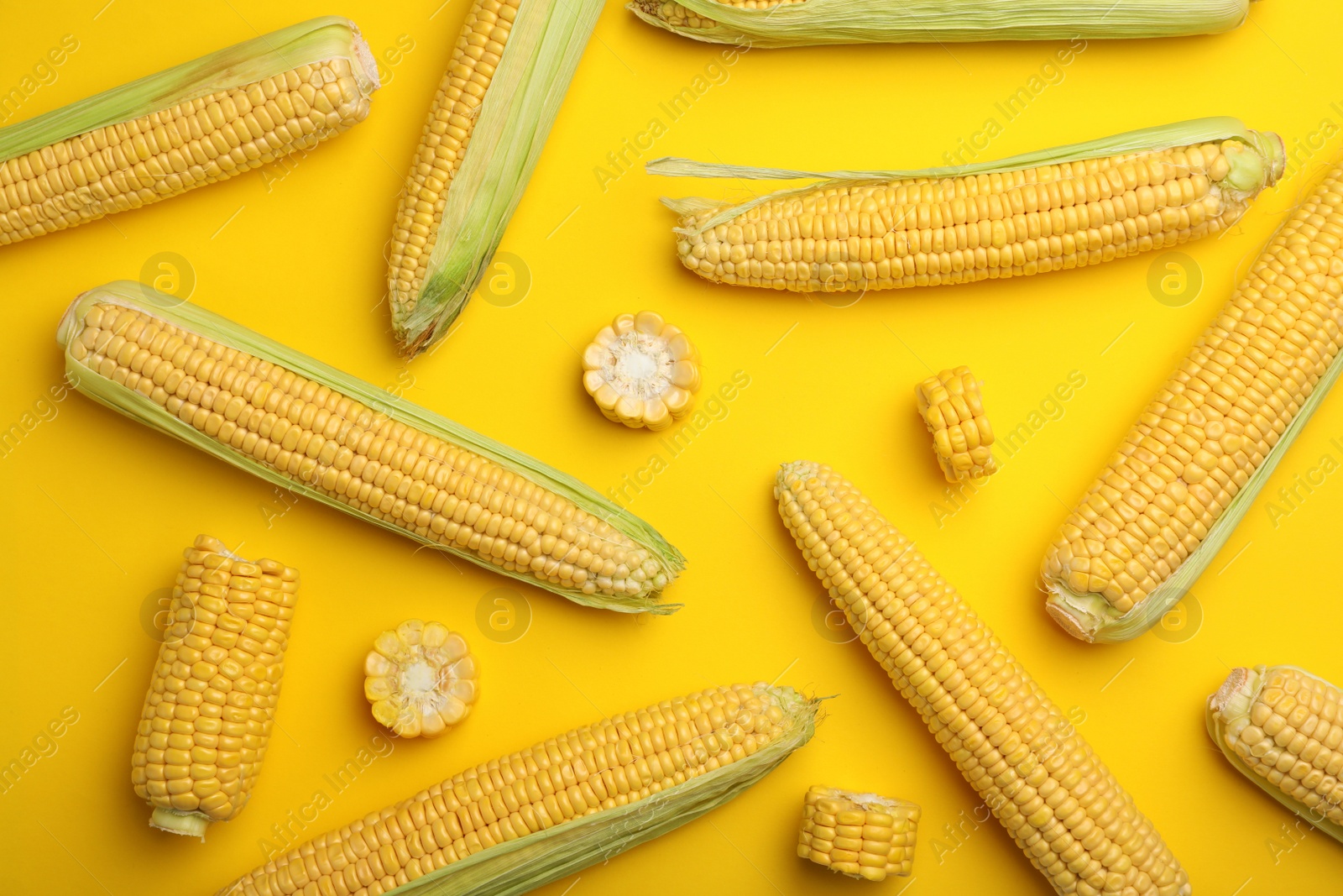 Photo of Flat lay composition with tasty sweet corn cobs on color background