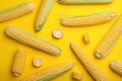 Photo of Flat lay composition with tasty sweet corn cobs on color background