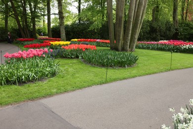 Park with variety of beautiful flowers. Spring season