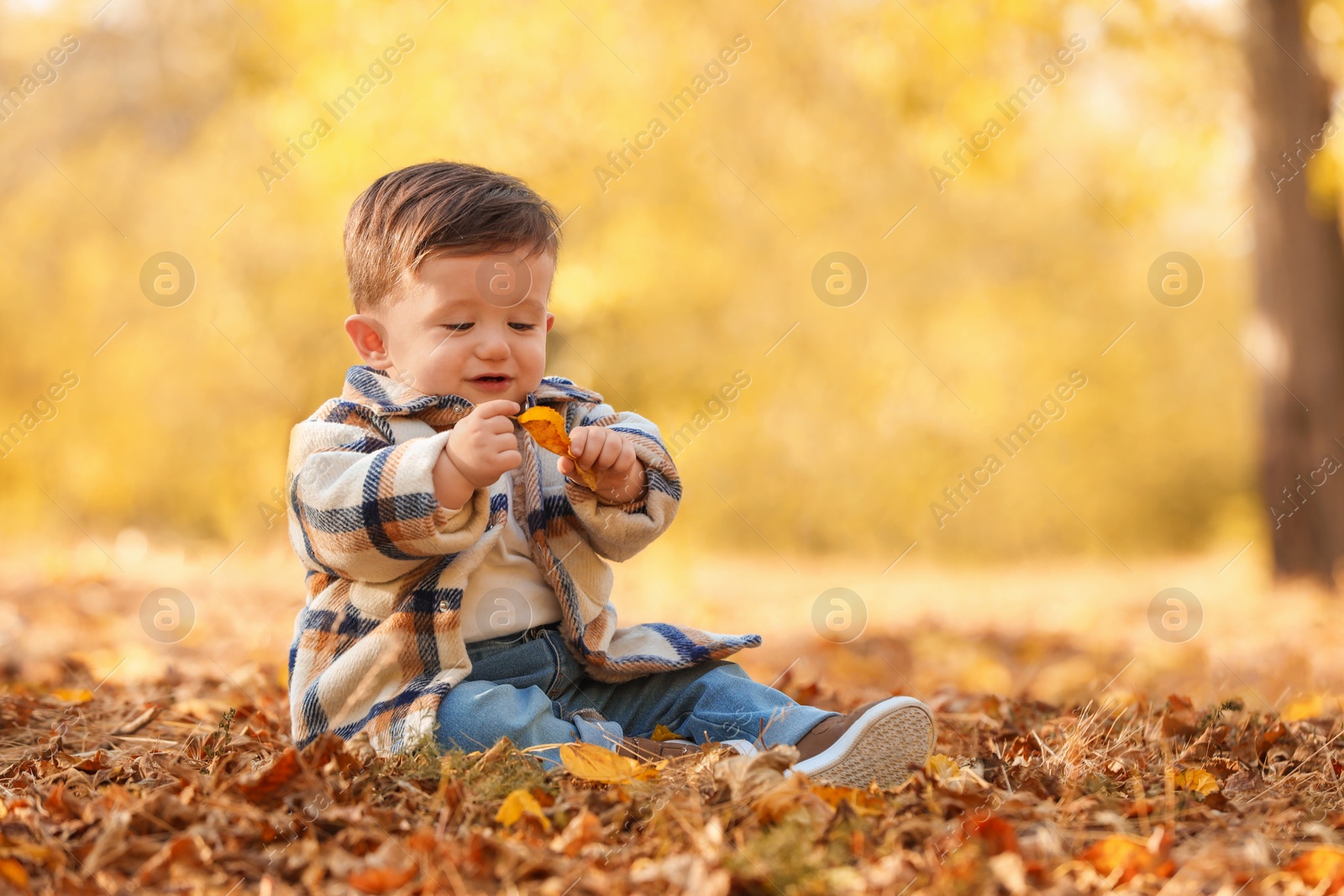 Photo of Cute little child on ground with dry leaves in autumn park, space for text