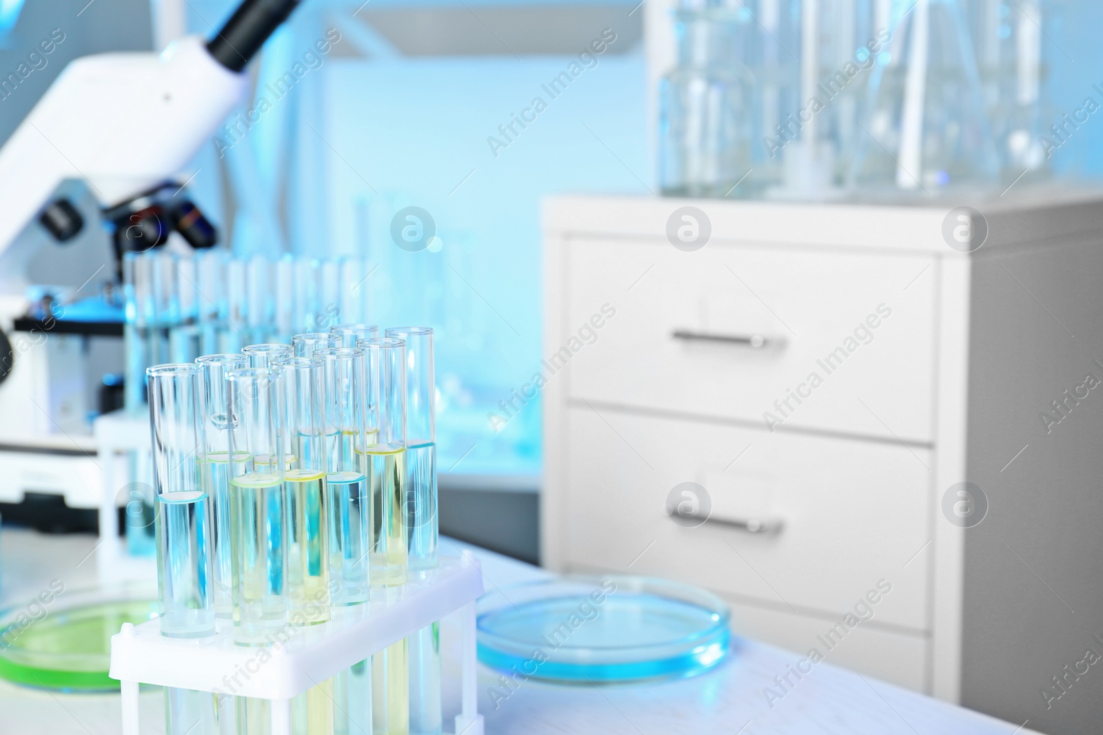 Photo of Rack with test tubes in laboratory. Chemical analysis