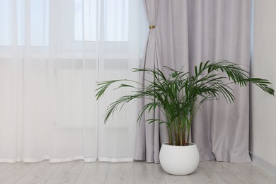 Photo of Stylish room interior with houseplant and beautiful window curtains. Space for text
