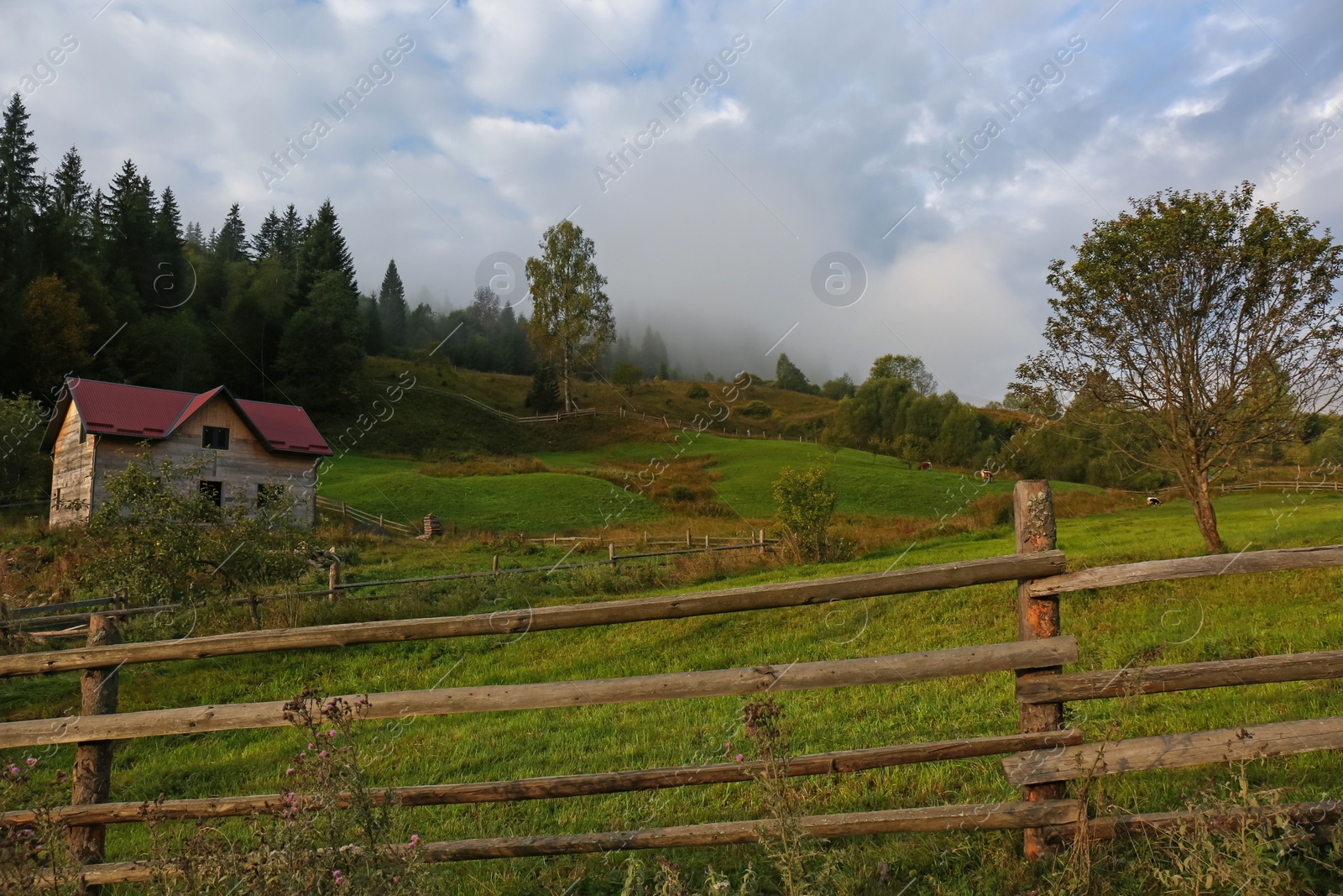 Photo of Beautiful view with wooden fence and bright green grass