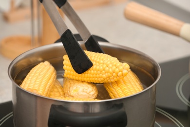 Putting raw corn cob into stewpot, closeup