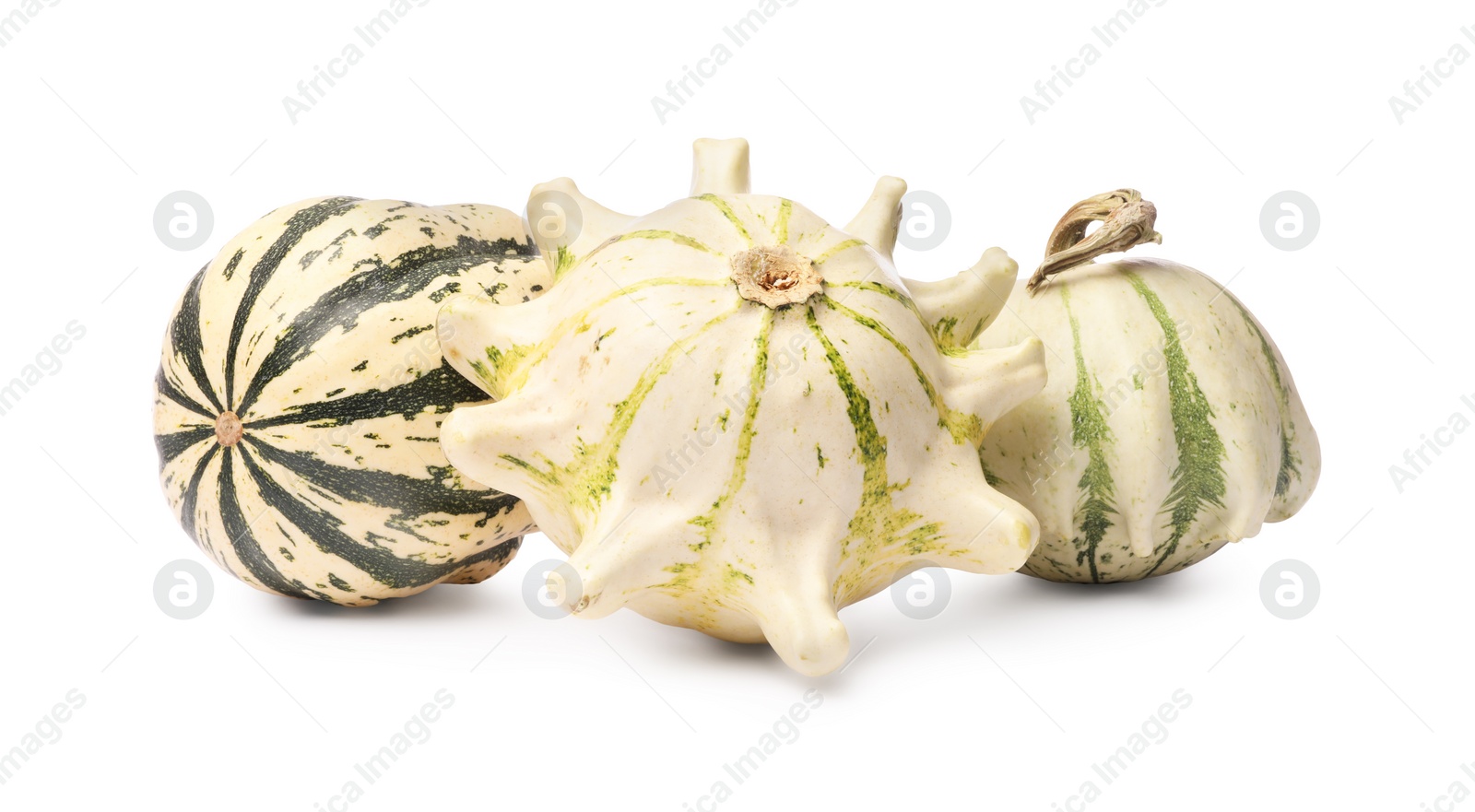 Photo of Different fresh ripe pumpkins isolated on white