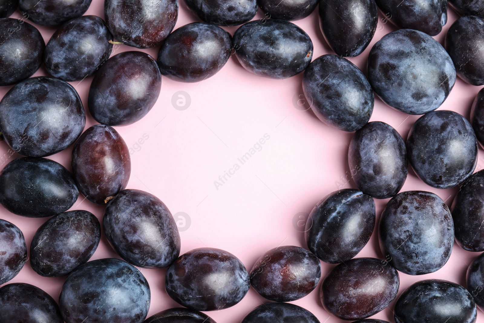 Photo of Frame made of delicious ripe plums on pink background, flat lay. Space for text