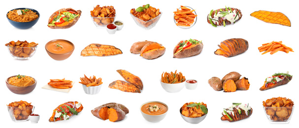 Set of delicious sweet potatoes dishes on white background. Banner design