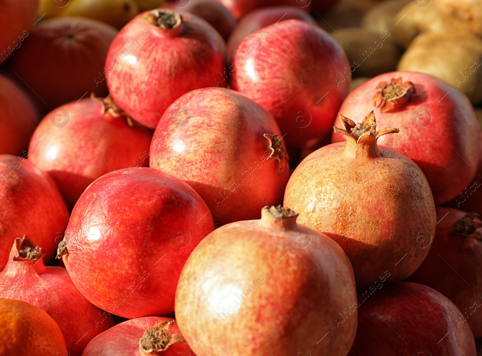 Photo of Juicy fresh ripe pomegranates, closeup. Wholesale market