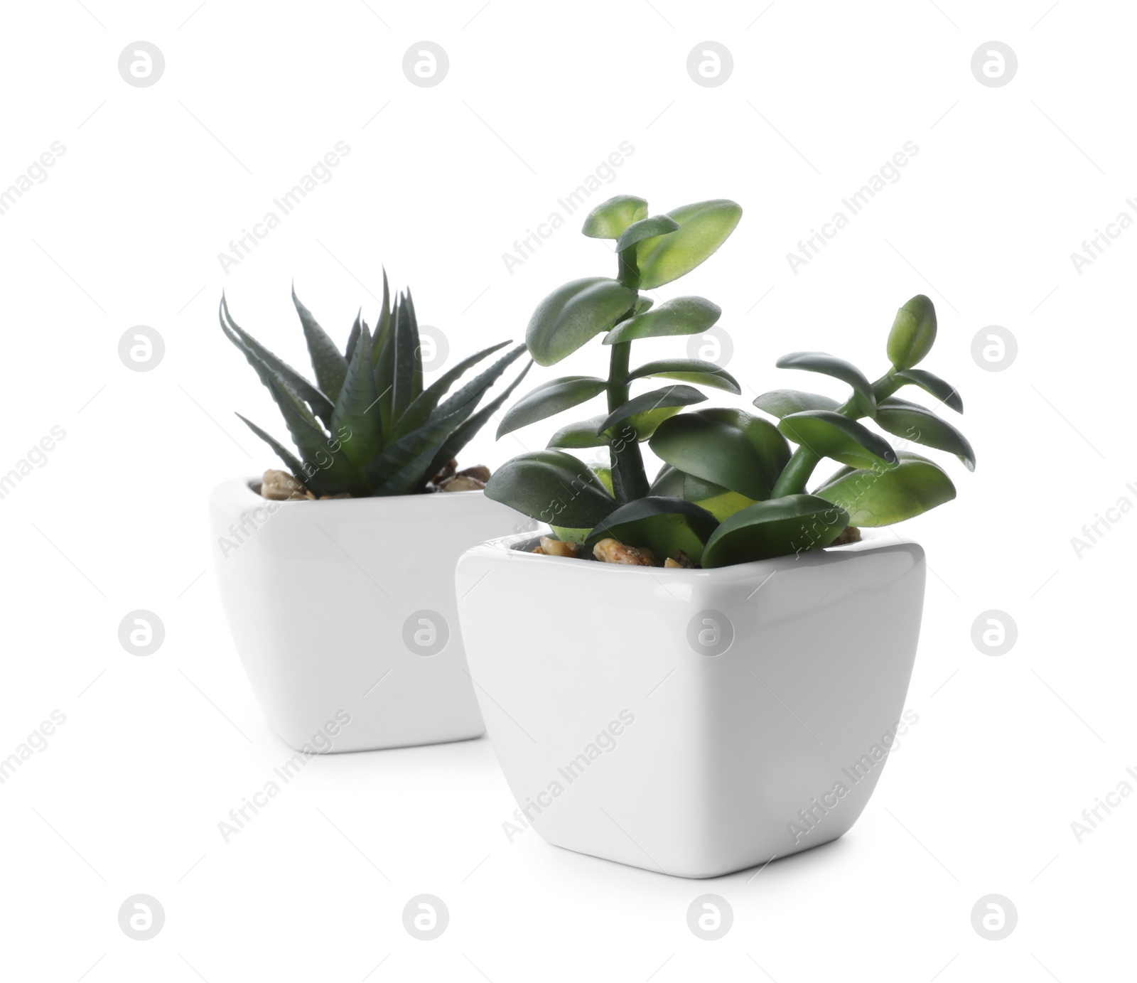 Photo of Beautiful artificial plants in flower pots isolated on white