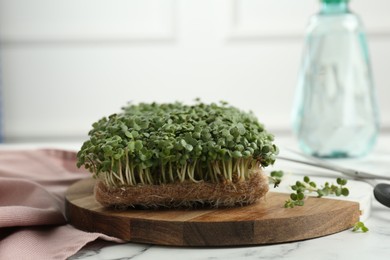 Fresh daikon radish microgreen on white marble table, closeup