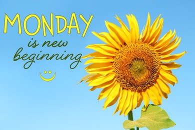 Image of Motivational quote Monday is New Beginning and beautiful blooming sunflower outdoors on sunny day