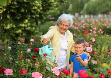 Photo of Little boy and his grandmother watering flowers in garden