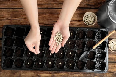 Woman planting soybeans into fertile soil at wooden table, closeup. Vegetable seeds