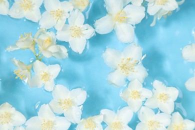 Photo of Beautiful jasmine flowers in water on light blue background, top view