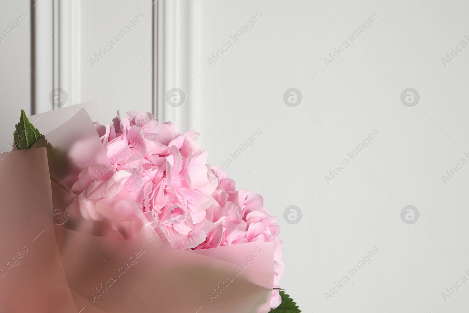 Photo of Bouquet of beautiful hortensia flowers near white wall. Space for text