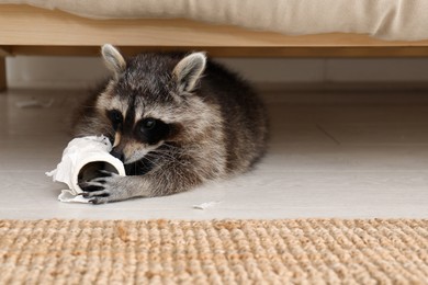 Cute mischievous raccoon playing with toilet paper on floor indoors