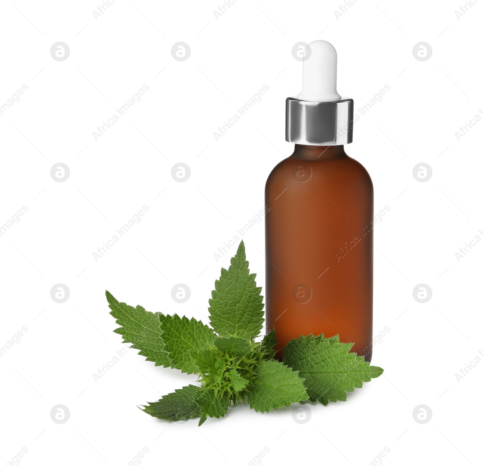 Photo of Glass bottle of nettle oil with dropper and leaves isolated on white