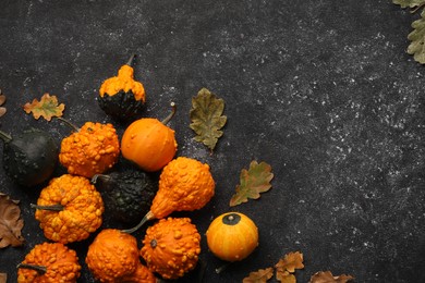 Photo of Different fresh ripe pumpkins and dry leaves on black textured table, flat lay. Space for text