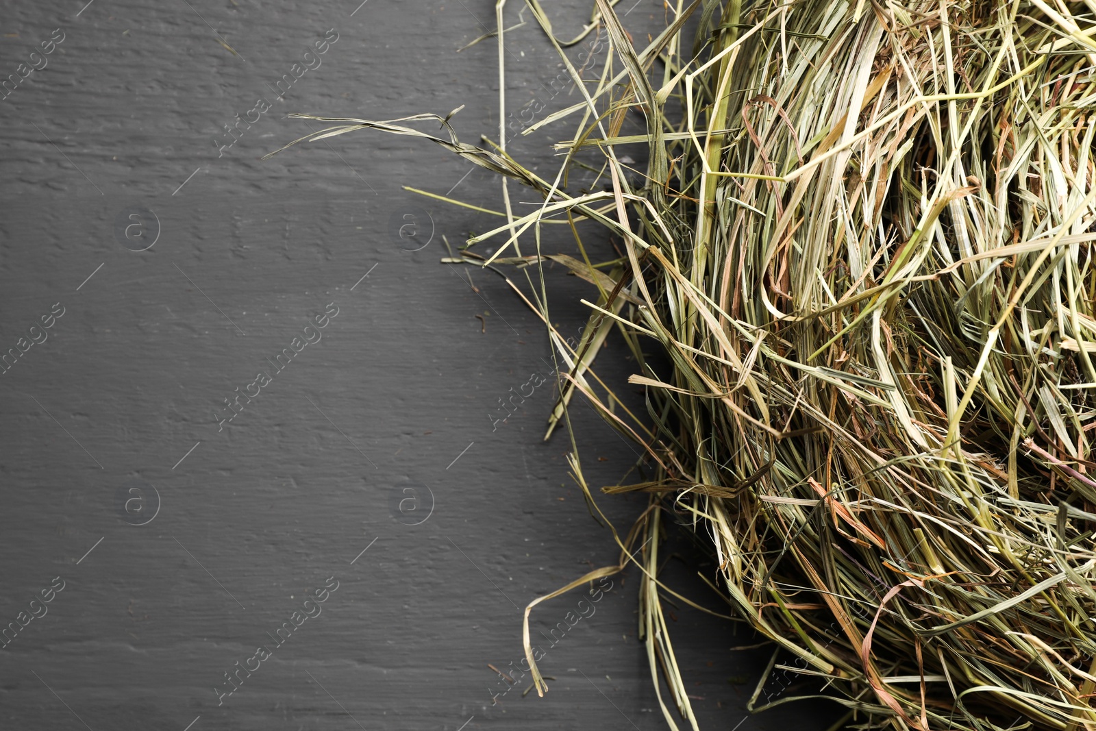 Photo of Dried hay on grey wooden table, top view. Space for text