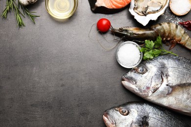 Frame of fresh raw dorado fish, shrimps and oyster on grey table, top view. Space for text