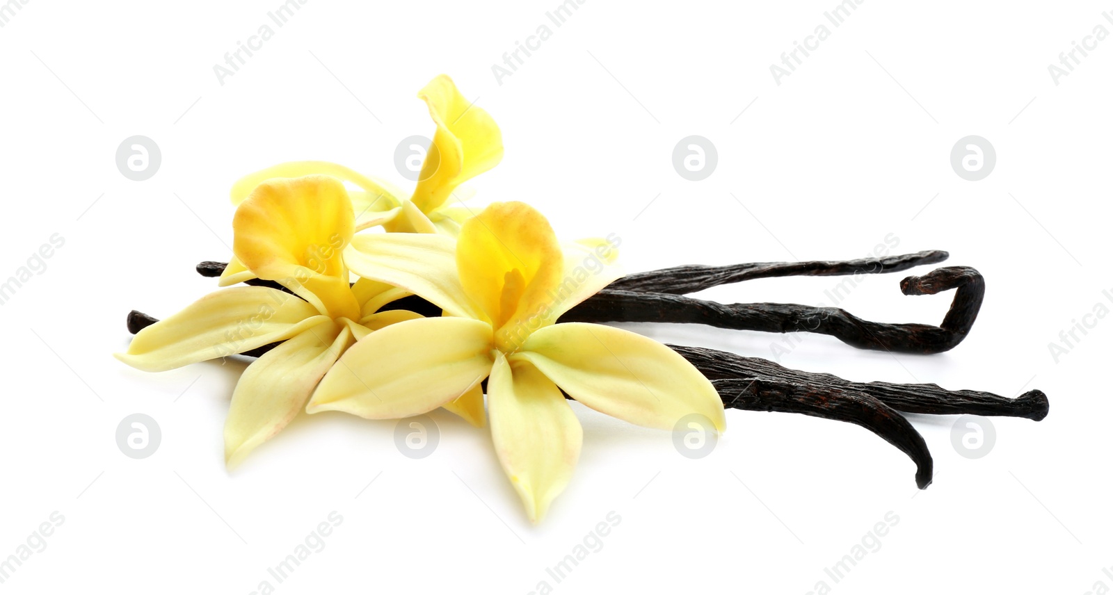 Photo of Aromatic vanilla sticks and flowers on white background