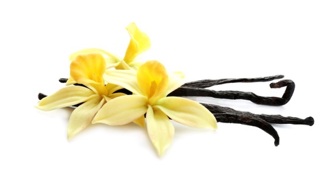 Photo of Aromatic vanilla sticks and flowers on white background